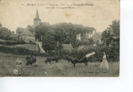 Fruges (environs) Une Vue De Coupelle Vieille - Animée Vaches N°6 - Fruges