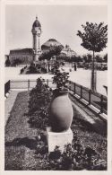 Cp , 87 , LIMOGES , Jardins , Cours De Juillet Et La Gare - Limoges