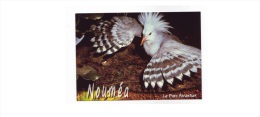937. Nouvelle Calédonie / New Caledonia / Nueva Caledonia / 2004 / Nouméa / Bird / Oiseau / Pájaro - Entiers Postaux