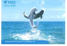 Dolphins Marine Mammals ,   Specimen    Prepaid Card , Postal Stationery - Dauphins