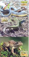 2013, Natural Reserves, Jagorlyk, Reptilies & Amphibies, 5 Maxicards, Mint/** - Serpenti