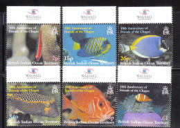 British Indian Territory 2002 Reef Fish MNH - British Indian Ocean Territory (BIOT)