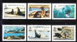 South Georgia 1991 Elephant Seals MNH - Géorgie Du Sud
