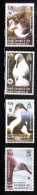 South Georgia 2003 WWF Gray-Headed Albatross MNH - South Georgia