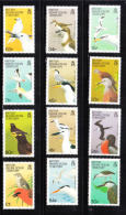 British Indian Ocean Territory BIOT 1990 Birds Definitive MNH - Brits Indische Oceaanterritorium