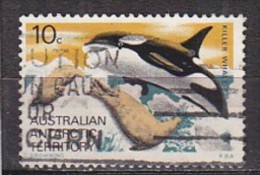 PGL BP160 - AUSTRALIAN ANTARTIC TERRITORY Yv N°28 - Used Stamps