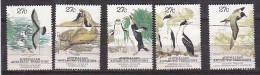 PGL BP195 - AUSTRALIAN ANTARTIC TERRITORY Yv N°55/59 - Used Stamps