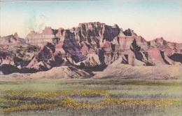 South Dakota Wall Ancient Architecture The Badlands National Monument Albertype - Andere & Zonder Classificatie