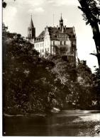 SIGMARINGEN : Le Château - Sigmaringen