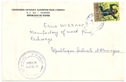 Luftpost Brief  Conakry Guinee - Eschwege  (Schimpansen Motiv)                1976 - Chimpancés