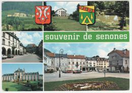 CP MULTIVUES SOUVENIR DE SENONES EN SALM, VOSGES 88 - Senones