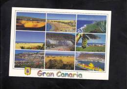 CANARIA, US - Andere & Zonder Classificatie