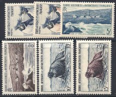 La Première Série Animaux Des TAAF Neuve - Used Stamps