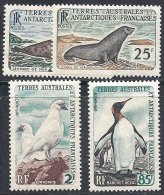 4 Animaux De La 2ème Série Des TAAF Neufs - Used Stamps