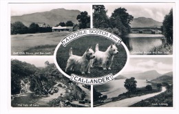 UK1819    CALLANDER : A Double Scotch From ( Multiview ) - Stirlingshire