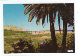 PO5809# ALGERI - LAGHOUAT - PONTI   No VG - Laghouat