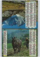 L'Almanach Des PTT De 1990, Vienne 86 - Formato Grande : 1981-90