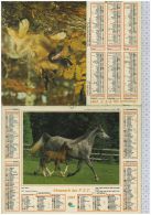 L'Almanach Des PTT De 1985, Haute Corse 20 - Formato Grande : 1981-90