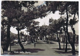 Delcampe - PESCARA - VIALE DELLA PINETA - 1961 - Pescara