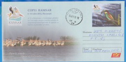 Bird, Birds, Pelicans Danube Delta Patrimony UNESCO Romania Postal Stationery Cover - Pelícanos