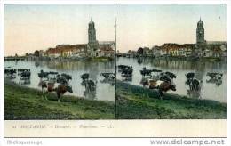 PAYSBAS DEVENTER PANORAMA ET TROUPEAU DE VACHES  CARTE STEREO TOP TOP SERIE HOLLANDE N ° 21 LL 1903 - Deventer