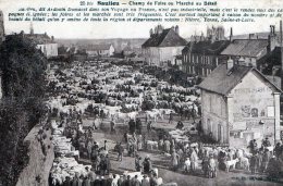 SAULIEU - LE CHAMP DE FOIRE OU LE MARCHE AU BETAIL - BELLE CARTE - SEPIA - TRES TRES ANIMEE -  TOP !!! - Foires