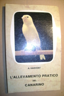 PBU/61 Harvent L´ALLEVAMENTO PRATICO Del CANARINO 1988 - Animali Da Compagnia