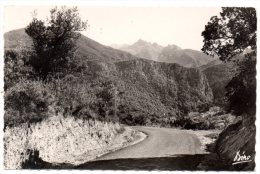 CP, 66, AMELIE-les-BAINS, Vue Sur La Station, Les Gorges Du Mondony Et Frontière Espagnole - Roussillon