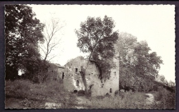 CP-PHOTO ANCIENNE- FRANCE- PAULHAN (34)- LE VIEUX MOULIN DES LAURES EN GROS PLAN - Paulhan