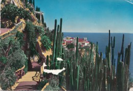 ZS46034 Jardin Exotique De Monaco    2 Scans - Exotic Garden