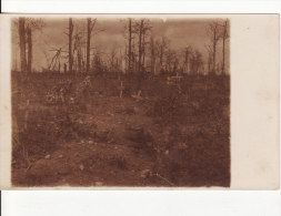 Carte Postale Photo Militaire Allemand Cimetière Militaire -FRIEDHOF-Argonne ?- Meuse Ou Ardennes ? A SITUER ALOCALISER - Cimiteri Militari