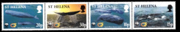 (007) St. Helena  WWF / Animals / Animaux / Tiere / Dieren / Whales / Baleines / Wale  ** / Mnh  Michel 852-55 - Saint Helena Island