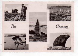 REF 125 : CPSM Les Iles Chausey Multivues - Sonstige & Ohne Zuordnung