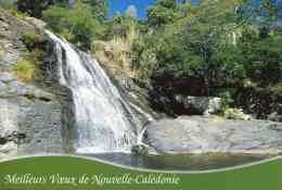 Entier Postal De 2002 Sur CP Avec Timbre "Chaîne Centrale Et  Illust. "Meilleurs Voeux - Cascade De Farino" - Interi Postali