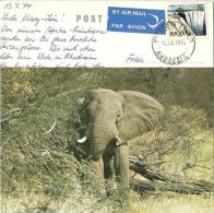 AK  Elephant  (Marke Und Stempel VICTORIA FALLS)                 1974 - Rhodésie (1964-1980)