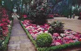 Alabama Mobile Bellingrath Gardens Path In Center Of The Gardens - Mobile