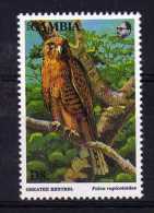 Gambia - 1993 - D8 Greater Kestrel - MNH - Gambia (1965-...)