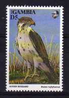 Gambia - 1993 - D5 Definitive - Auger Buzzard - MNH - Gambie (1965-...)