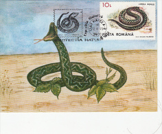 SNAKE, VIPER, CM, MAXICARD, CARTES MAXIMUM, 1993, ROMANIA - Snakes