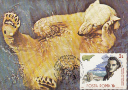 C-TIN DUMBRAVA, EXPLORER, POLAR BEARP, PENGUINS, CM, MAXICARD, CARTES MAXIMUM, 1990, ROMANIA - Explorateurs