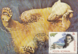 C-TIN DUMBRAVA, EXPLORER, POLAR BEARP, PENGUINS, CM, MAXICARD, CARTES MAXIMUM, 1990, ROMANIA - Exploradores