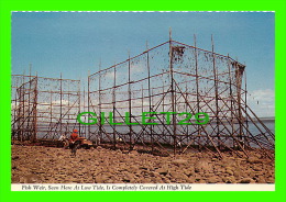 BAY OF FUNDY, NOVA SCOTIA - FISH WEIR AT LOW TIDE - - Sonstige & Ohne Zuordnung