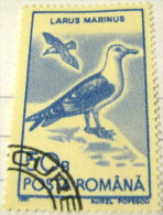 Romania 1991 Birds Larus Marinus 50b - Used - Gebruikt