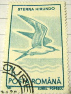 Romania 1991 Birds Sterna Hirundo 1l - Used - Gebruikt