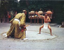 (765M)  - Japan - Sumo Wresler - Japon Sumo - Lutte