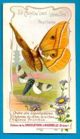 PUB. CHROMO  CHOCOLAT AIGUEBELLE, LE MONDE DES INSECTES PAPILLONS SATURNIE PERNYI, QUEUE FOURCHUE,  FLEURS,  RECTO/VERSO - Aiguebelle