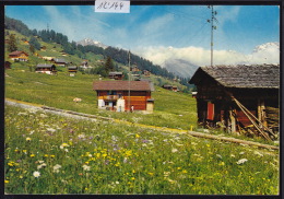 Les Mayens De Riddes - 1500 M - Ca 1979 ; Form. 10 / 15 (12´144) - Riddes