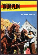 " TREMPLIN " - N° 12 - Année 1968 - Editions De La Presse Européenne (Be). - Autre Magazines