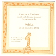 FAIRE PART NAISSANCE Format Cadre Ajout Girafe 2001 - Birth