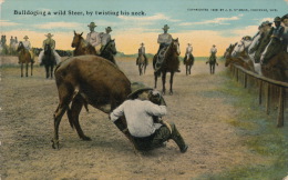( CPA ÉTATS UNIS )  CHEYENNE  /  WYOMING  /  Bulldoging A Wild Steer, By Twisting His Neck - - Cheyenne